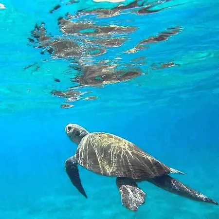 Appartement Faneromeni Two Bed B Zakynthos