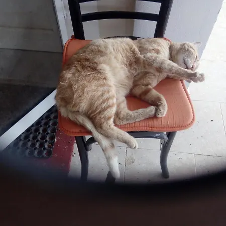 Faneromeni Two Bed B