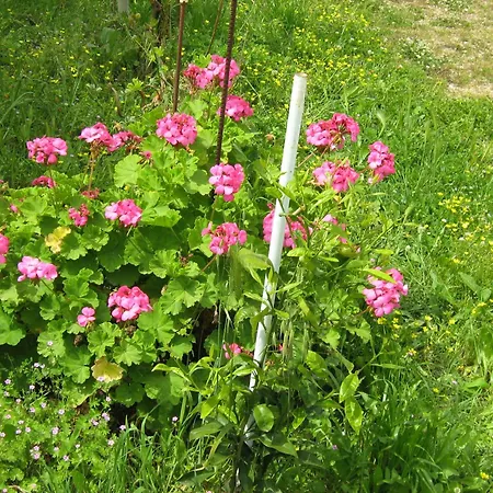 Faneromeni Two Bed B *